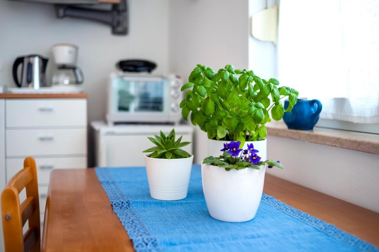 Apartment Casa Banko Rovinj Eksteriør billede